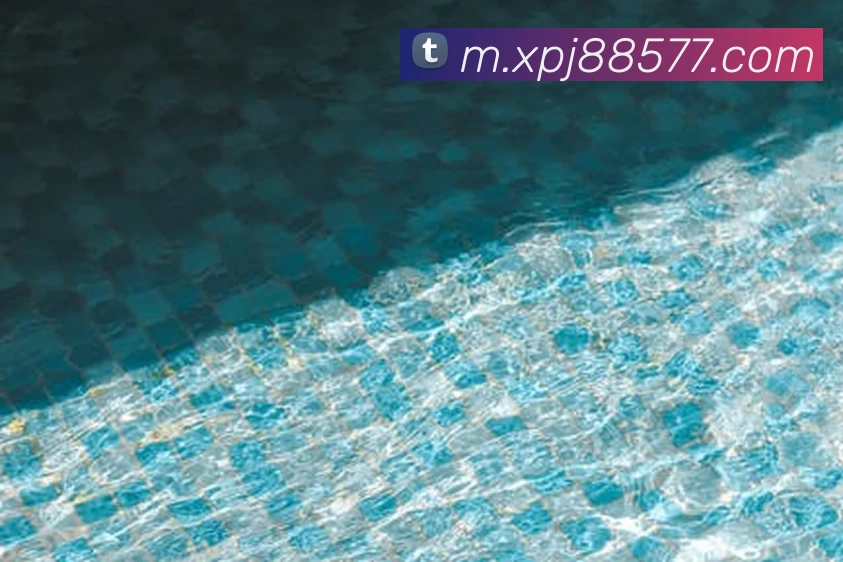 新葡京娱乐APP 封面图